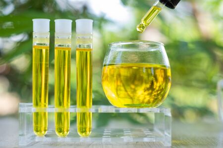 The researchers' hands are pouring CBD hemp oil into a glass tube. To be put to trial.Concept of alternative medicine, medicine, experiment, research, medicine. Close up.の写真素材