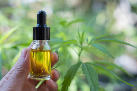 Handle glass bottle containing hemp oil. Hold a bottle of hemp oil in a glass bottle, a natural...