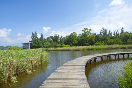 Hong Kong Wetland Parkの写真素材