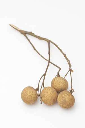 Longan on white backgroundの写真素材