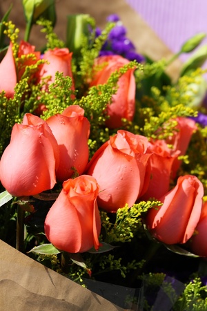 Red roses for celebrationの写真素材