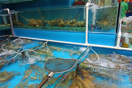 Seafood market in Hong Kongの写真素材