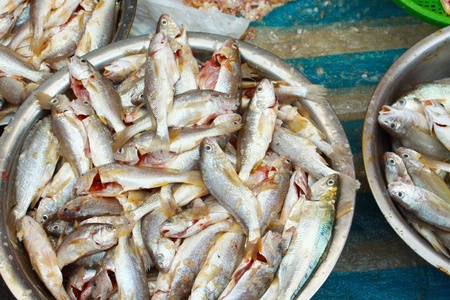 Fresh fishes in marketの写真素材