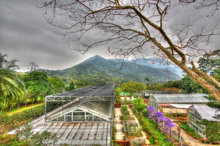 Greenhouse in countryside of Hong Kong, HDR image.のeditorial素材