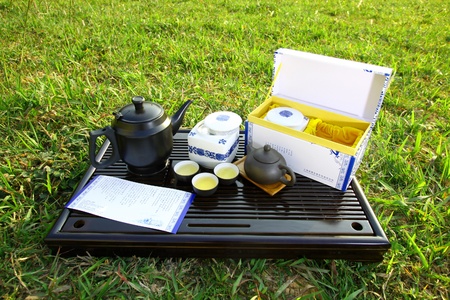 Asian tea set on grassesのeditorial素材
