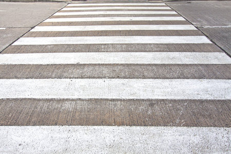 Zebra crossing の写真素材