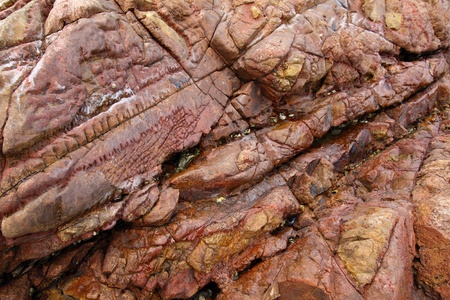 Sedimentary rocks in Hong Kong Geo Parkの写真素材