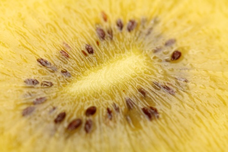 Kiwi close-up.の写真素材