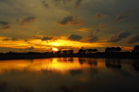 Sunset in Hong Kong at pondの写真素材