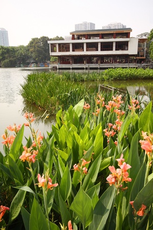 Flowers in gardenのeditorial素材
