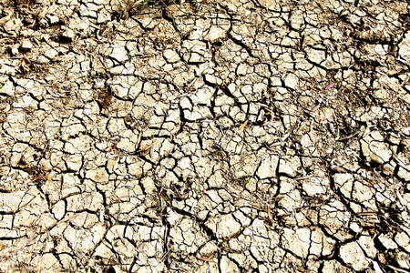 Dried land cracks in desert の写真素材