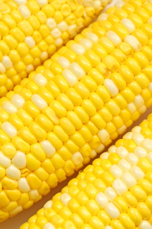 Corn close-up.の写真素材