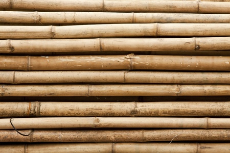 Bamboo sticks backgroundの写真素材