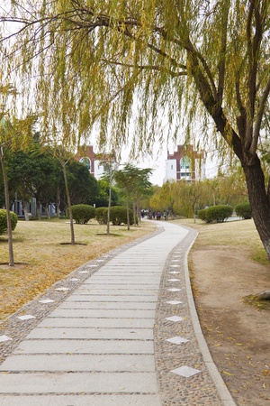 Walkway in a universityのeditorial素材