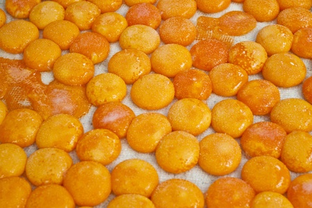 Salted egg yolk in fishing village, Hong Kongの写真素材