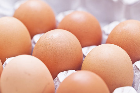 Eggs arrange in a box