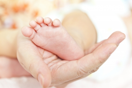 Feet of newborn baby in mothers handsの写真素材