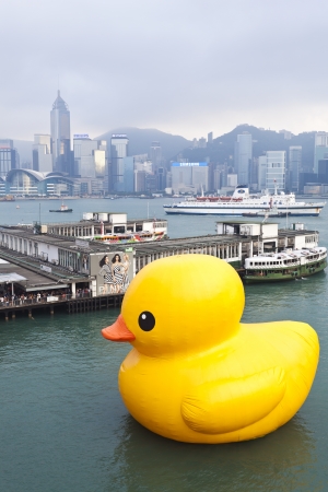 HONG KONG - MAY 6 : Giant Rubber Duck floating in Victoria Harbor on May 6, 2013 in Hong Kong. Created by Florentijn Hofman and it's playful presence revive the happiness of life's simple pleasures.のeditorial素材