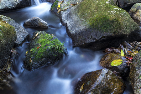 River streamの写真素材