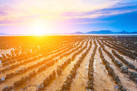 Sunset along the coast in Hong Kongの写真素材