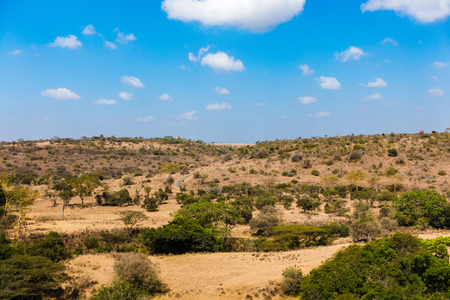Clear Blue day at Nairobi Safari park in Africa. The natural environment and ecology can be seen into the distance.の写真素材