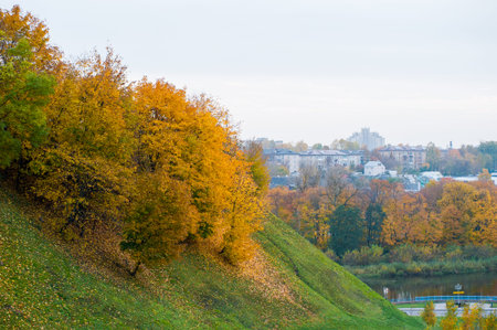 Trees on the hillside, autumn slides down, the onset of yellow foliage.