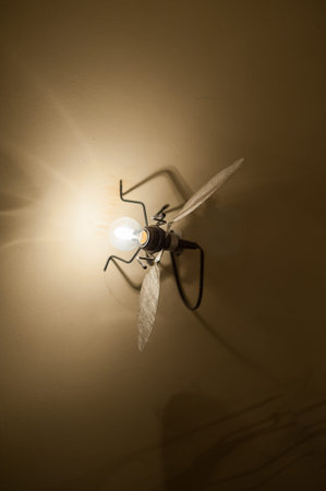 iron fly on the wall, lamps insectsの写真素材