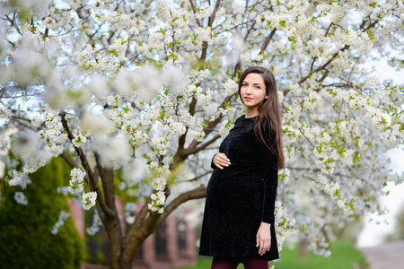Pregnant brunette in the flowered park. The brunette in a dark dress poses in the blossoming apple...