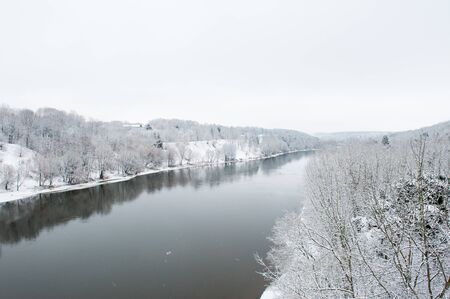 winter forest winter nature in the snow. Winter day in a pine forestの写真素材