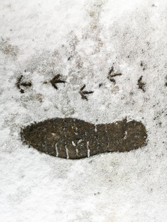 Footprints in the snow from the car and shoes