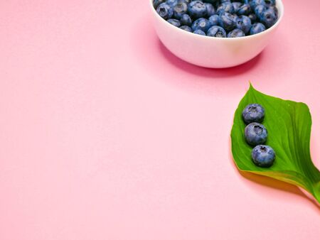 blueberries on a green leaf. pink coral background. Blueberries with leaf close-up. Fruit still life for organic healthy foodの写真素材