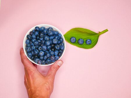 Blueberry in hand. Healthy eating, dieting, organic, vegetarian food and people concept. Woman hands holding ripe fresh blueberriesの写真素材