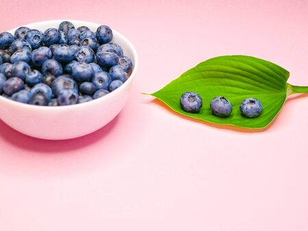blueberries on a white background. blueberry or bilberry or blackberry or blue whortleberry or huckleberry isolated on white background cutout.の写真素材