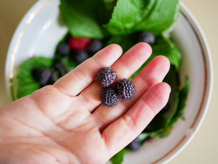 blueberries on a white background. blueberry or bilberry or blackberry or blue whortleberry or...