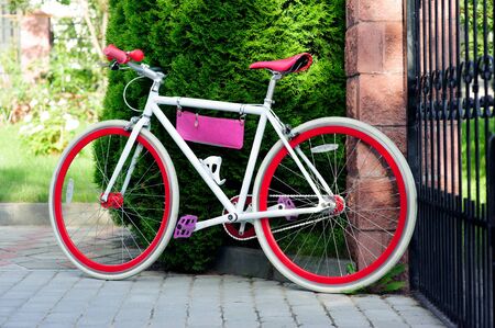 white and red bike. Stylish female red bike. standing on a sunny day outside. good pagoda for cyclingの写真素材