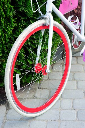 white and red bike. Stylish female red bike. standing on a sunny day outside. good pagoda for cyclingの写真素材