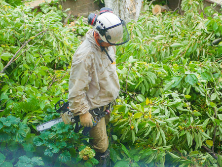 man with a chainsaw in the foliage. sneaks through the logs to another object.