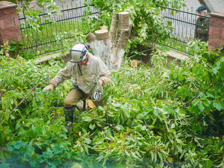 man with a chainsaw in the foliage. sneaks through the logs to another object.