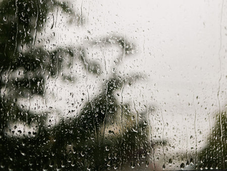 raindrops on the glass. Rainy weather. against the background of a blurred background of nature. Raindrops on the window on an autumn day. green tree on the backgroundの写真素材