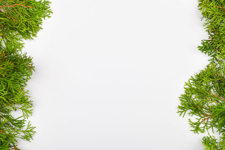 coniferous green branches on a white background. View from above. Place for writing. Christmas...