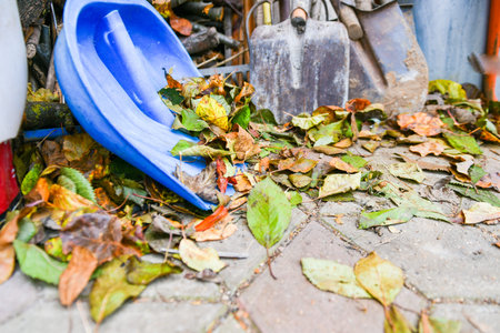 Shovel and autumn leaves. snow shovel lies on fallen autumn leaves. Winter is coming. Snow removal...