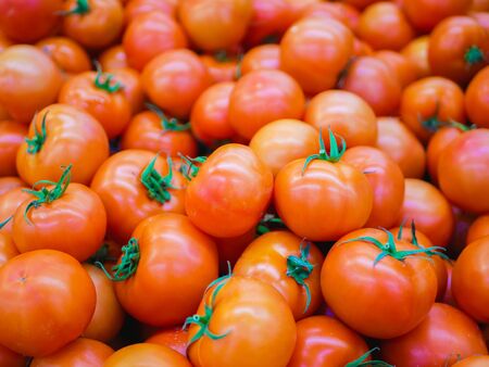 red tomatoes in the mall. in the mall. Vegetarian foodの写真素材