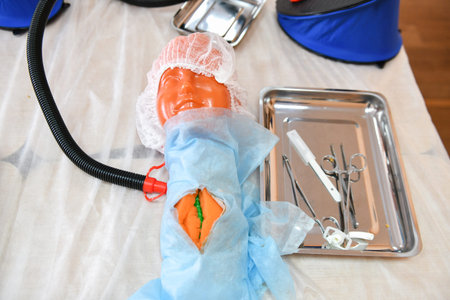 Manikin for tracheotomy. Rear medical mannequin, head for tracheotomy practice. Museum at the...
