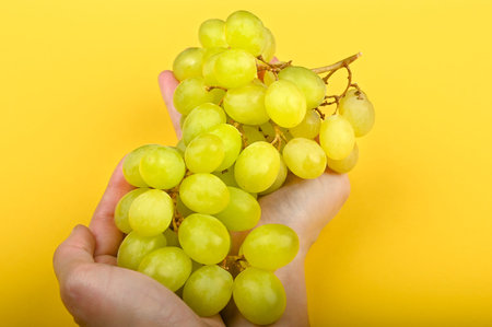 grapes are laid out on the hand. on a yellow background. Volumetric grapes. A bunch of green grape...