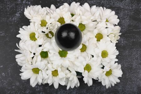 Dark chocolate eggs. Black easter concept. Black eggs. Easter for black peopleの写真素材