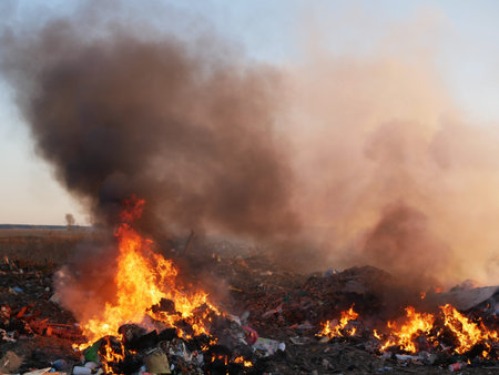 destruction of garbage. burning garbage. concern for the environment. environmental pollution