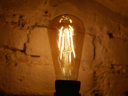 decorative incandescent lamps. large view in a dark room.