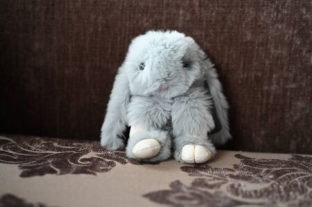 Fluffy toy gray hare. Sitting on the couch.の写真素材