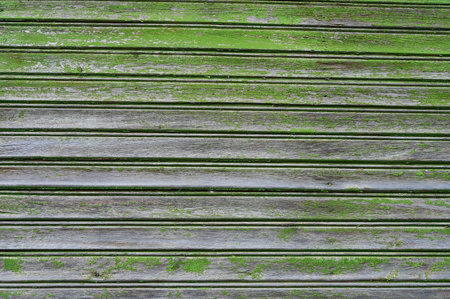 Wooden background from boards covered with moss. old boards. flat lay.