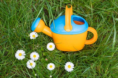 toy watering can on the background of daisies.の写真素材